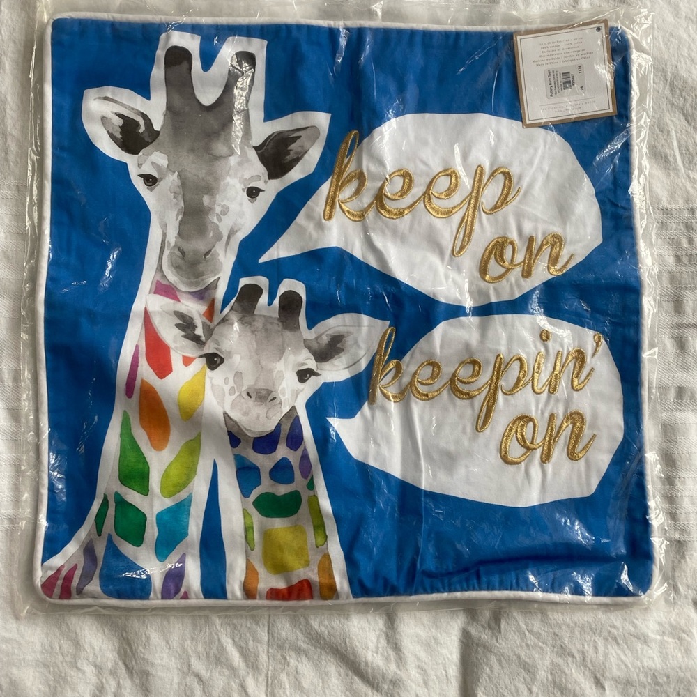 Pottery Barn Teen (NWT) pillow cover